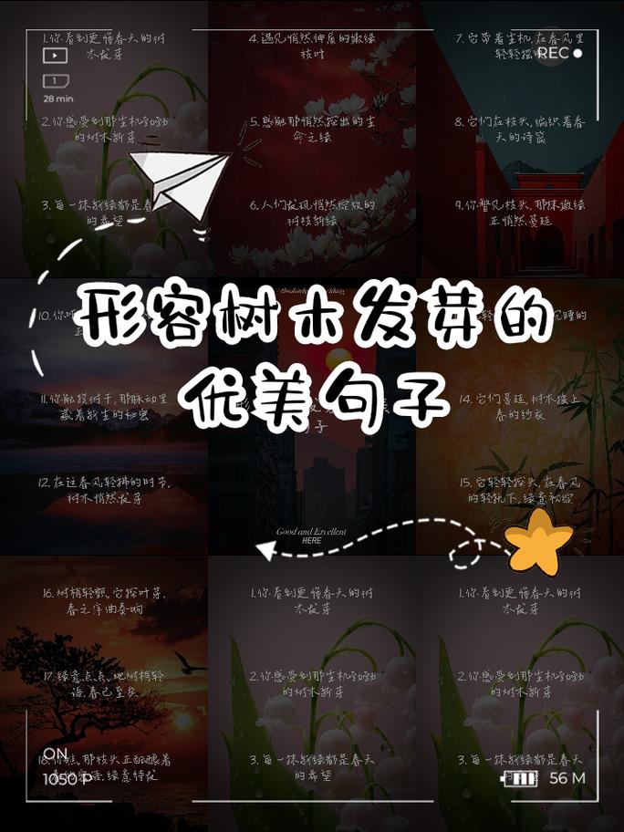描写小树的好句短句(描写小树) 第1张 描写小树的好句短句(描写小树) 第1张