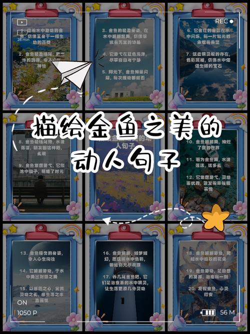 描写金鱼的优美句子一年级(描写金鱼的优美句子一年级简短英语) 第1张 描写金鱼的优美句子一年级(描写金鱼的优美句子一年级简短英语) 第1张