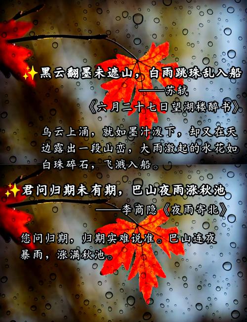描写雨的诗句优美句子(描写雨的诗句优美句子摘抄) 第1张 描写雨的诗句优美句子(描写雨的诗句优美句子摘抄) 第1张