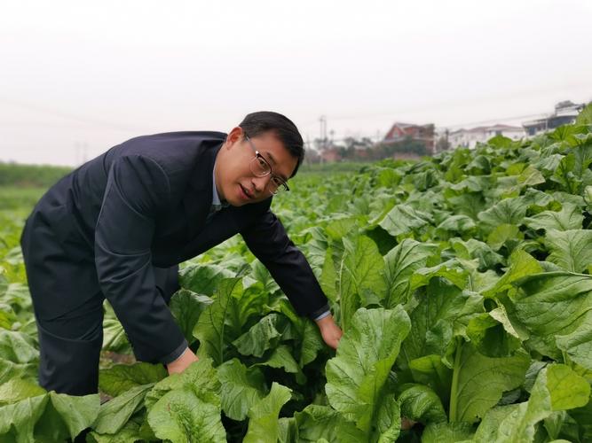 涪陵榨菜周斌全：坚持只做一件事，3块钱的榨菜一年卖出15亿  第1张