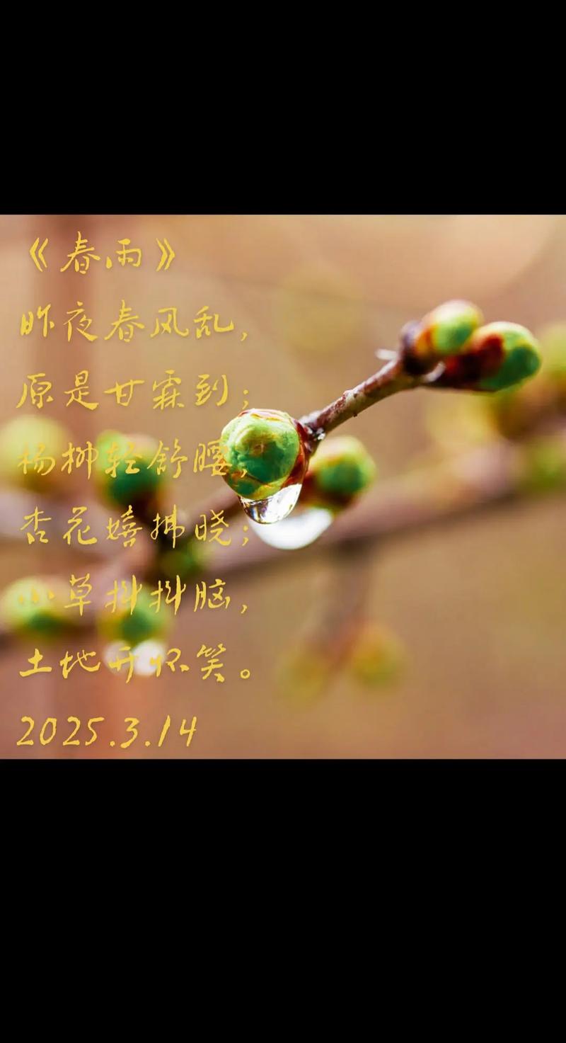 杏花的诗句唯美句子早安 杏花的诗句千古名句是什么  第1张