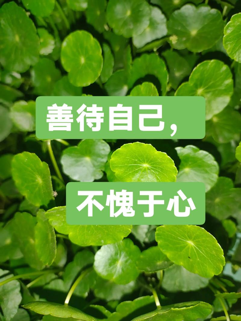 善待自己，健康无价  第1张