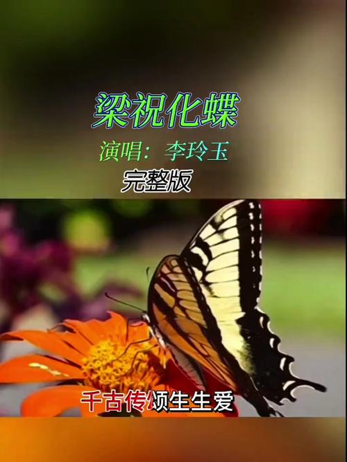 化蝶  第1张