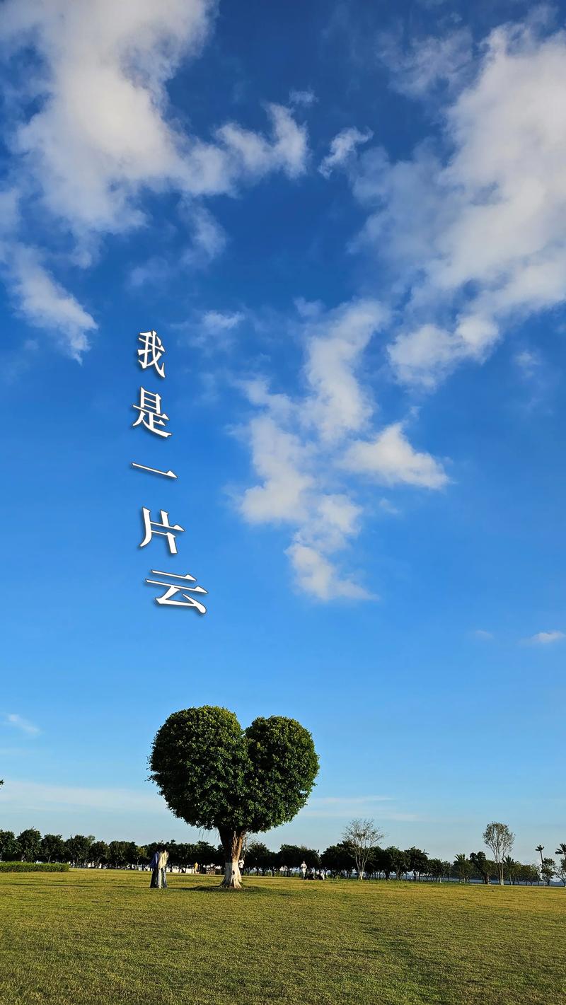 人言云亦是云，我言云才是云。  第1张