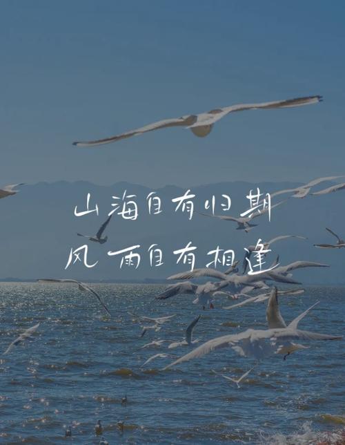 遇一场海枯石烂,等一不归人。 第1张 遇一场海枯石烂,等一不归人。 第1张