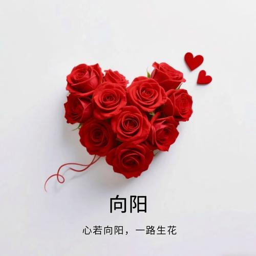 愿你永远面朝太阳,拥有半暖阳光 第1张 愿你永远面朝太阳,拥有半暖阳光 第1张