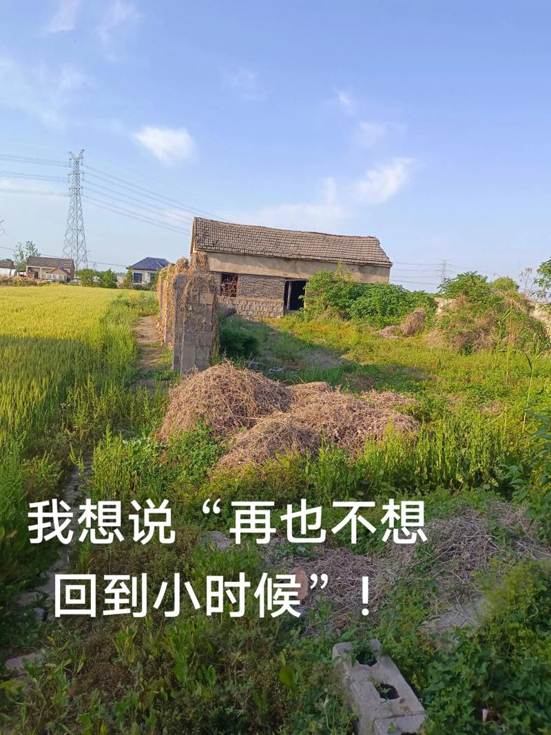 我想回到小时候 第1张 我想回到小时候 第1张
