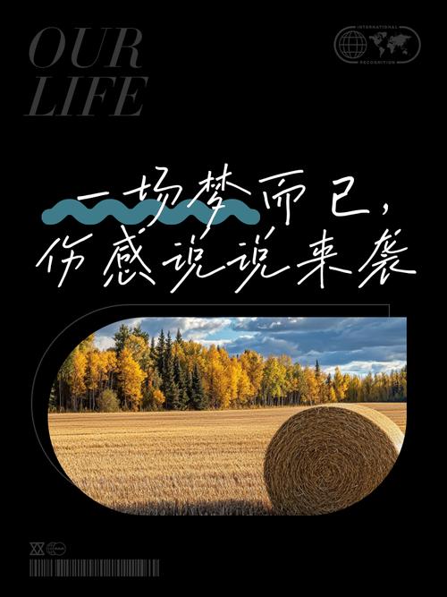 是梦啊……可是为何如此心酸呢……  第1张