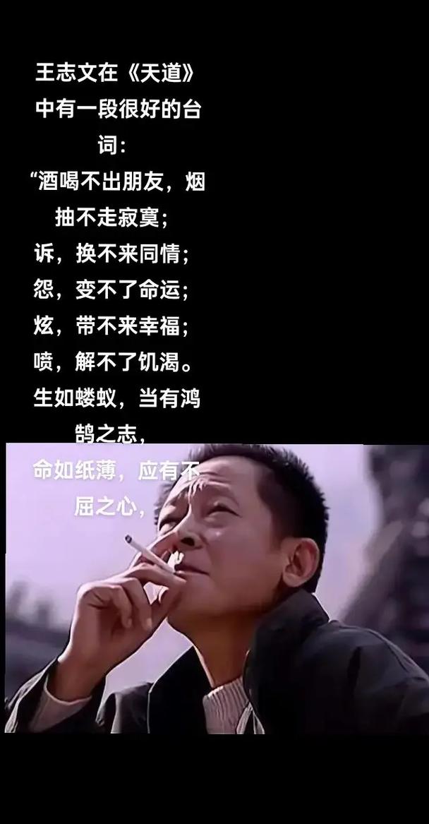不吐不快的人生感悟 第1张 不吐不快的人生感悟 第1张