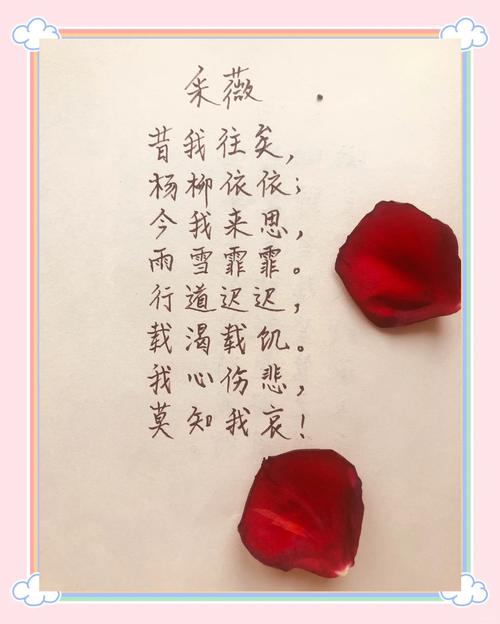 关于我的文集《温婉忆昔》 第1张 关于我的文集《温婉忆昔》 第1张
