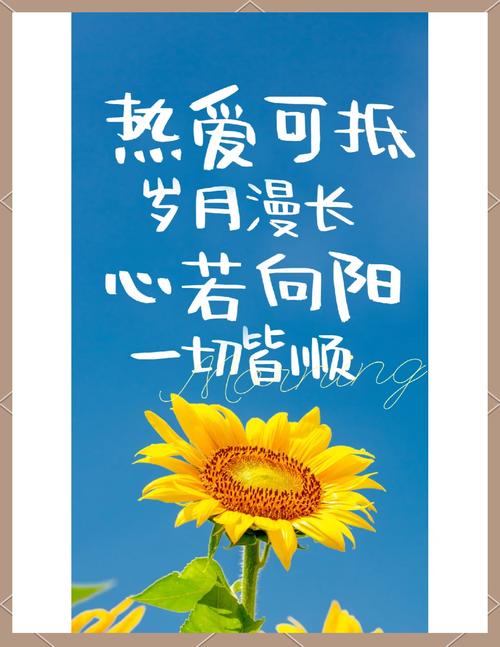留一点梦想给自己 第1张 留一点梦想给自己 第1张