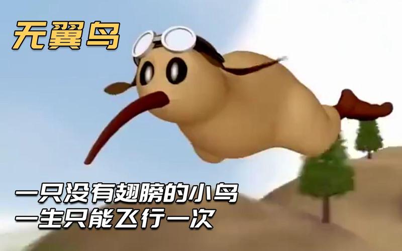 没有翅膀的飞翔 第1张 没有翅膀的飞翔 第1张