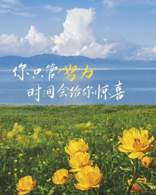 越努力越幸运  第1张