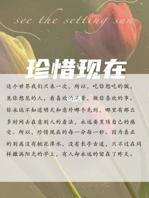 珍惜现在,拥抱未来 第1张 珍惜现在,拥抱未来 第1张