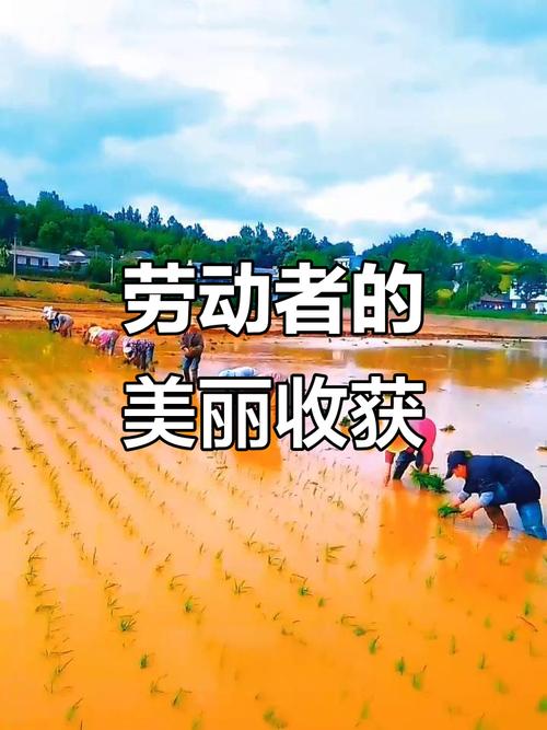 劳动也是一种美 第1张 劳动也是一种美 第1张