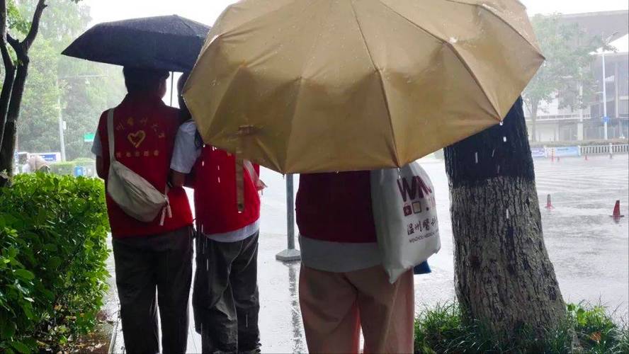 调研路上,风雨无阻 第1张 调研路上,风雨无阻 第1张
