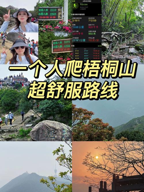 梧桐山,我一个人走的路。 第1张 梧桐山,我一个人走的路。 第1张