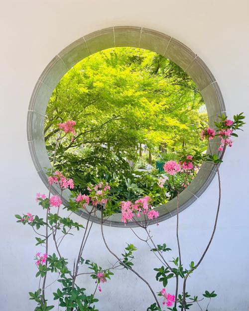 心藏花园  第1张
