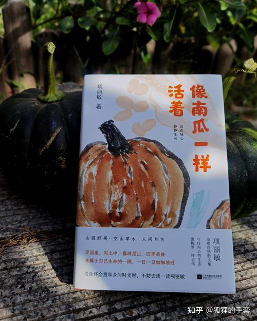 一定要爱着点什么 第1张 一定要爱着点什么 第1张