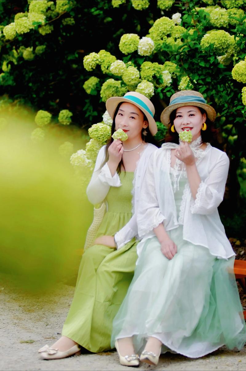 梦旅花相伴 第1张 梦旅花相伴 第1张