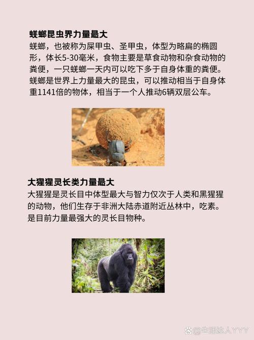 生命·高度 第1张 生命·高度 第1张