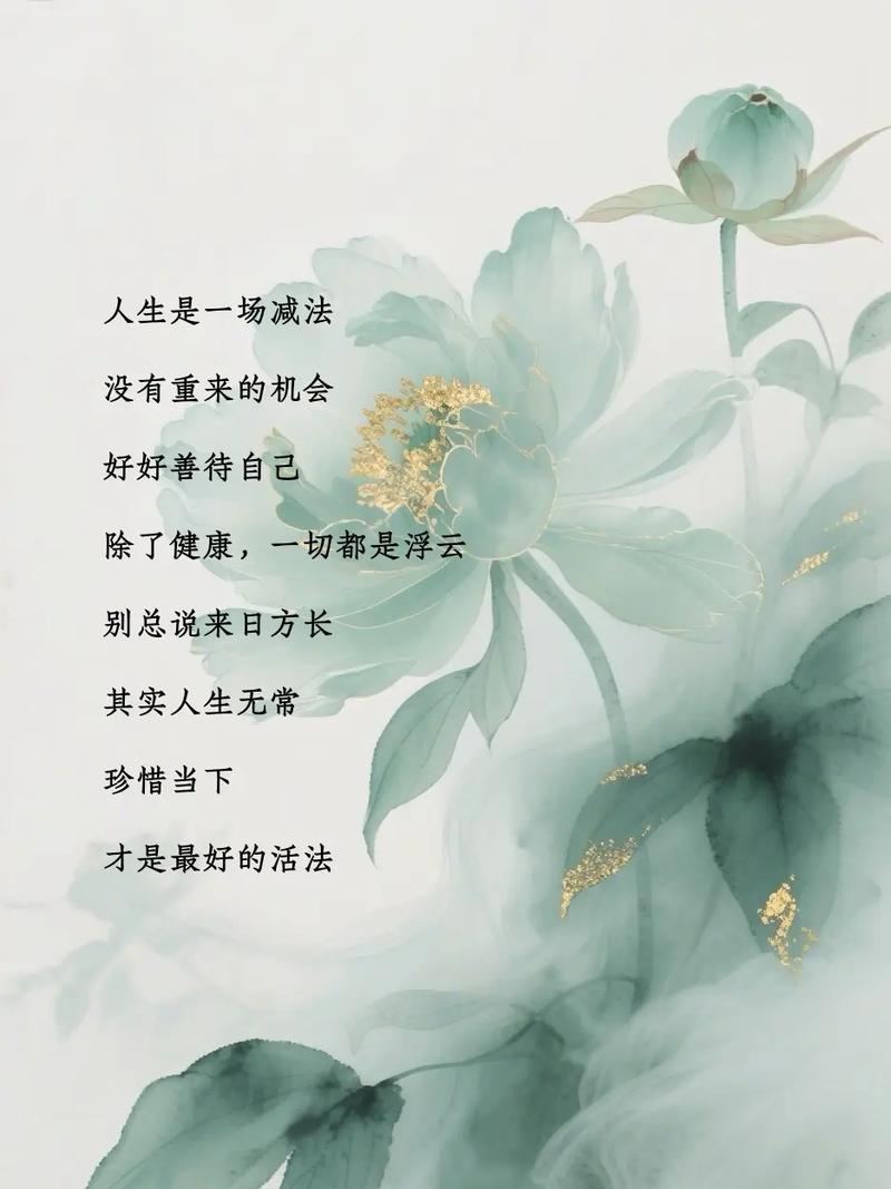 人生写在浮云边 第1张 人生写在浮云边 第1张