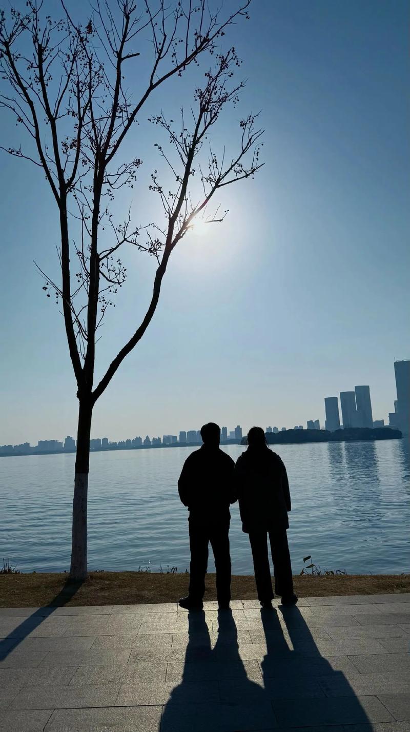 还没老,你就等着夕阳收残骸 第1张 还没老,你就等着夕阳收残骸 第1张