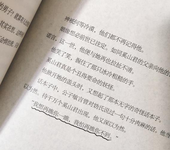 生之留恋  第1张