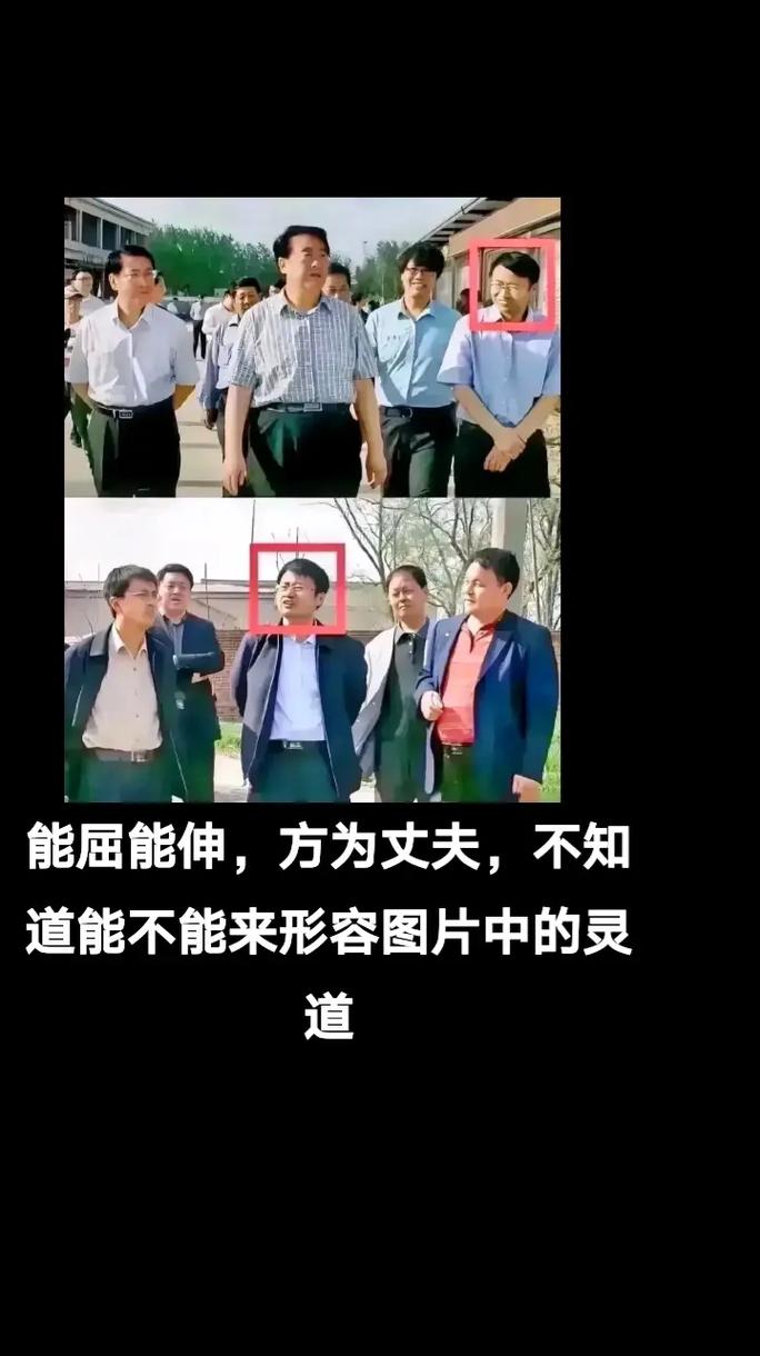 能伸能曲真丈夫 第1张 能伸能曲真丈夫 第1张