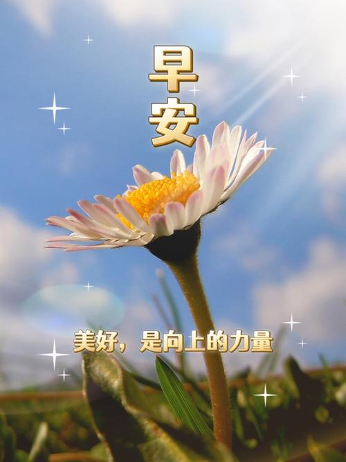 想要的美好,总在未来 第1张 想要的美好,总在未来 第1张