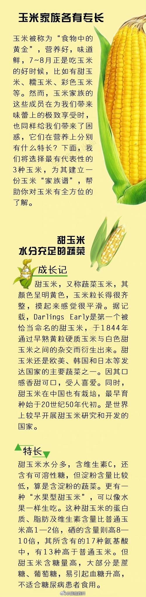 苞谷的念想 第1张 苞谷的念想 第1张