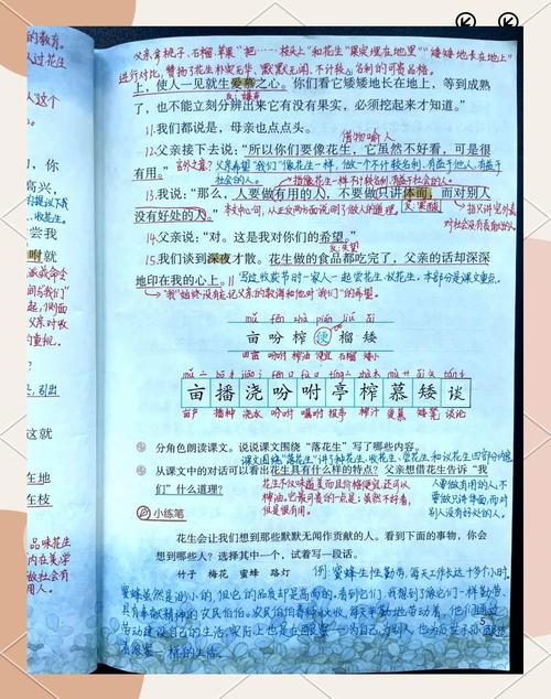 花生的念想 第1张 花生的念想 第1张