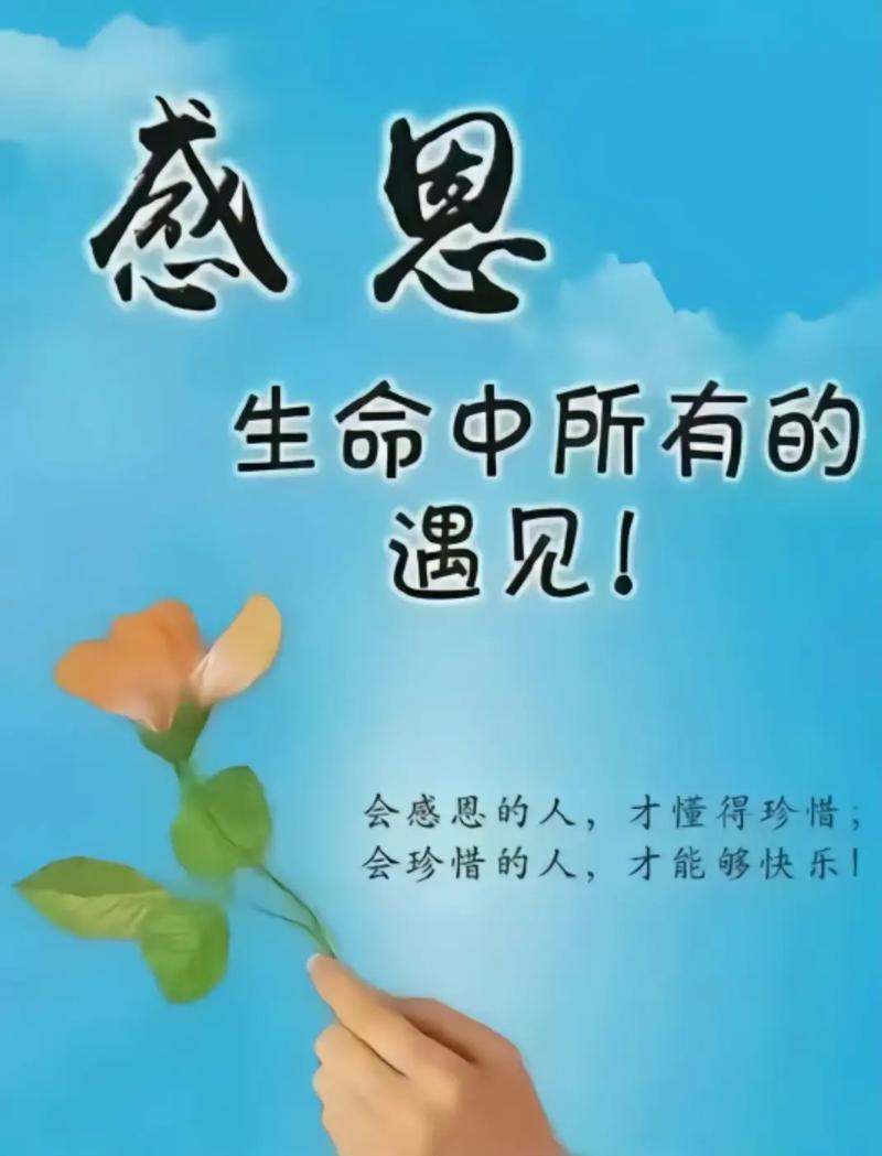 以感恩的心态处世 第1张 以感恩的心态处世 第1张