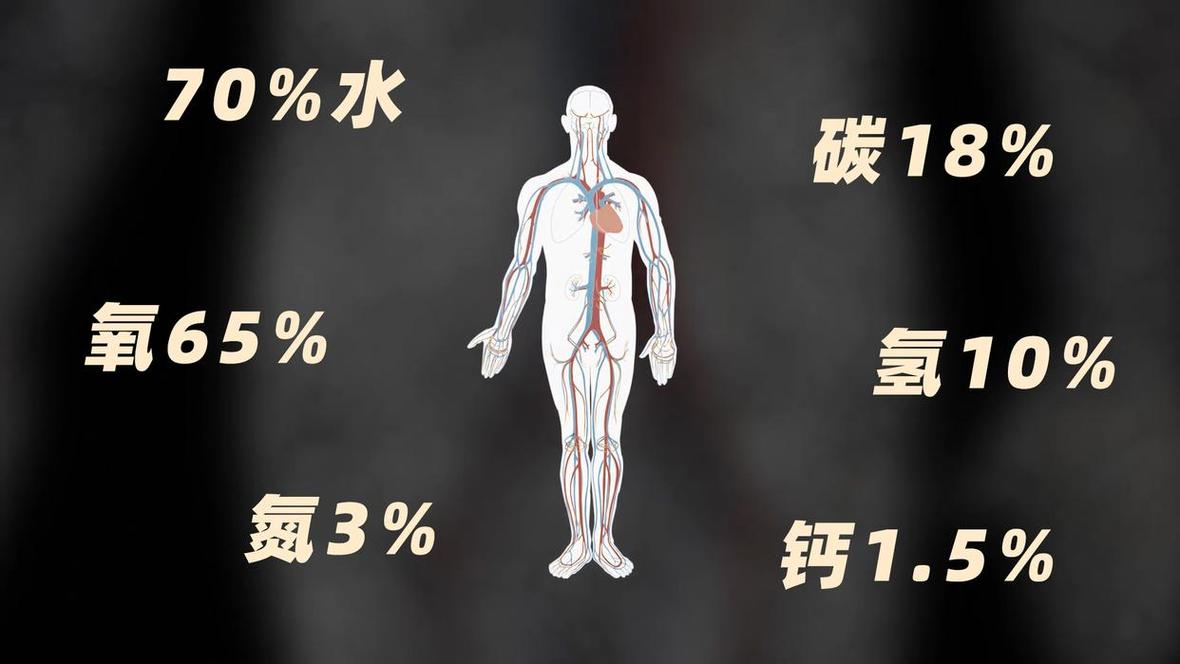 假如人类都掉进水里 第1张 假如人类都掉进水里 第1张