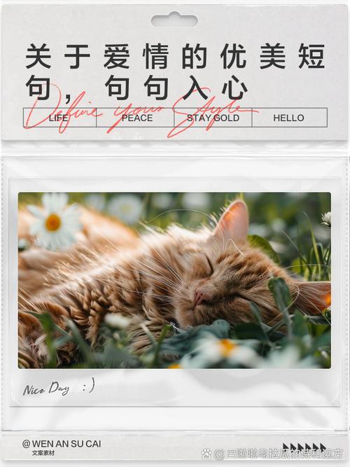 爱情就入心你 第1张 爱情就入心你 第1张