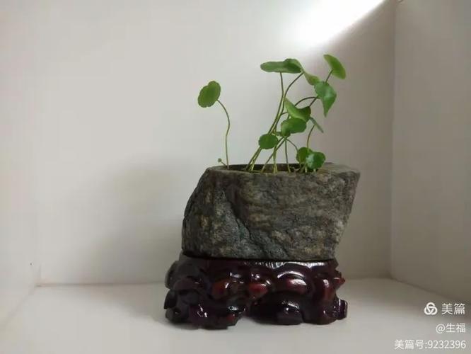 一颗清喜的心 第1张 一颗清喜的心 第1张