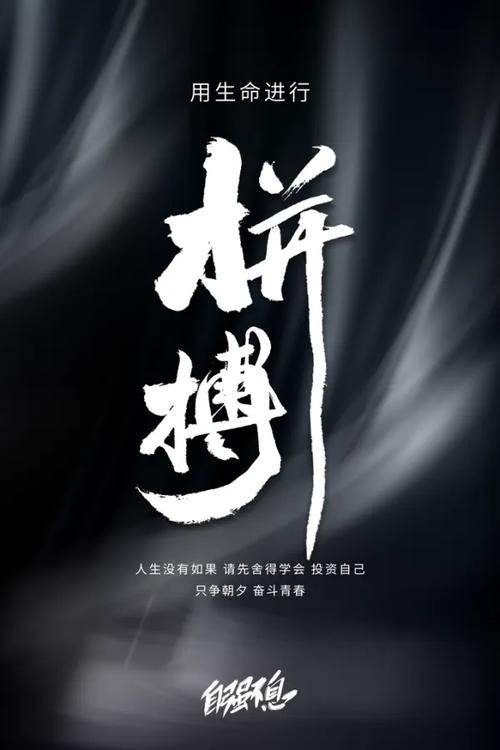 拼搏到无能为力 第1张 拼搏到无能为力 第1张