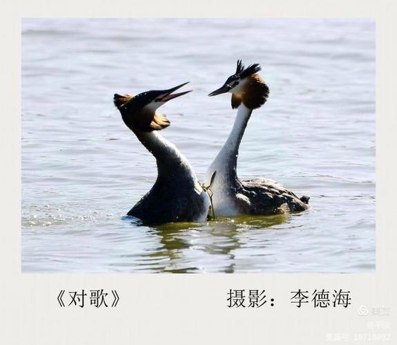 深深的眷恋 第1张 深深的眷恋 第1张