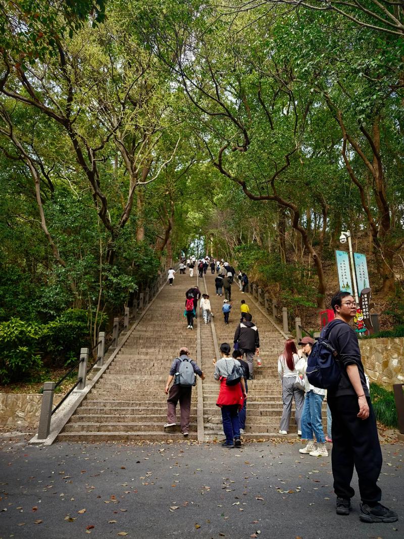 踏青 第1张 踏青 第1张