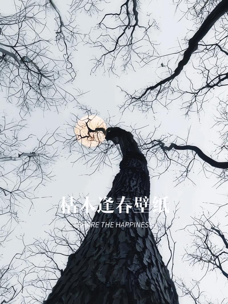 永有一棵树在等你 第1张 永有一棵树在等你 第1张