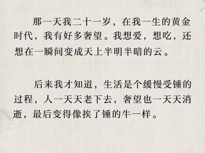 王小波经典语录 第1张 王小波经典语录 第1张