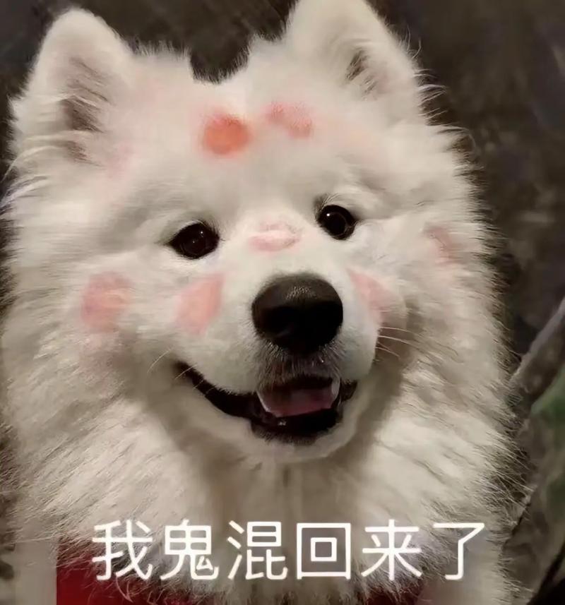 我,回来了... 第1张 我,回来了... 第1张