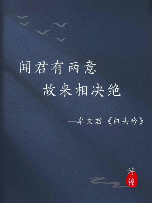 君于我,早已诀别。 第1张 君于我,早已诀别。 第1张