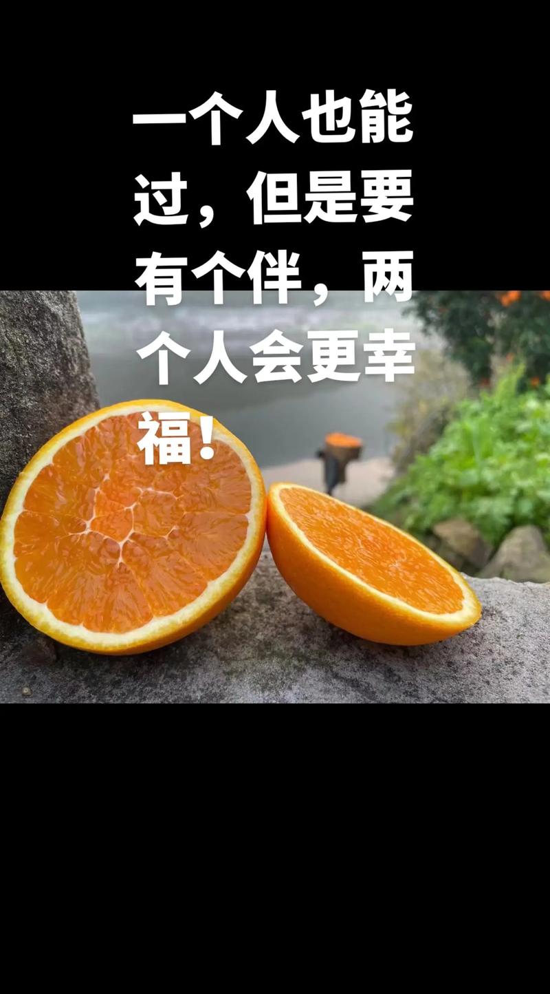 幸福是感受与发现的能力 第1张 幸福是感受与发现的能力 第1张