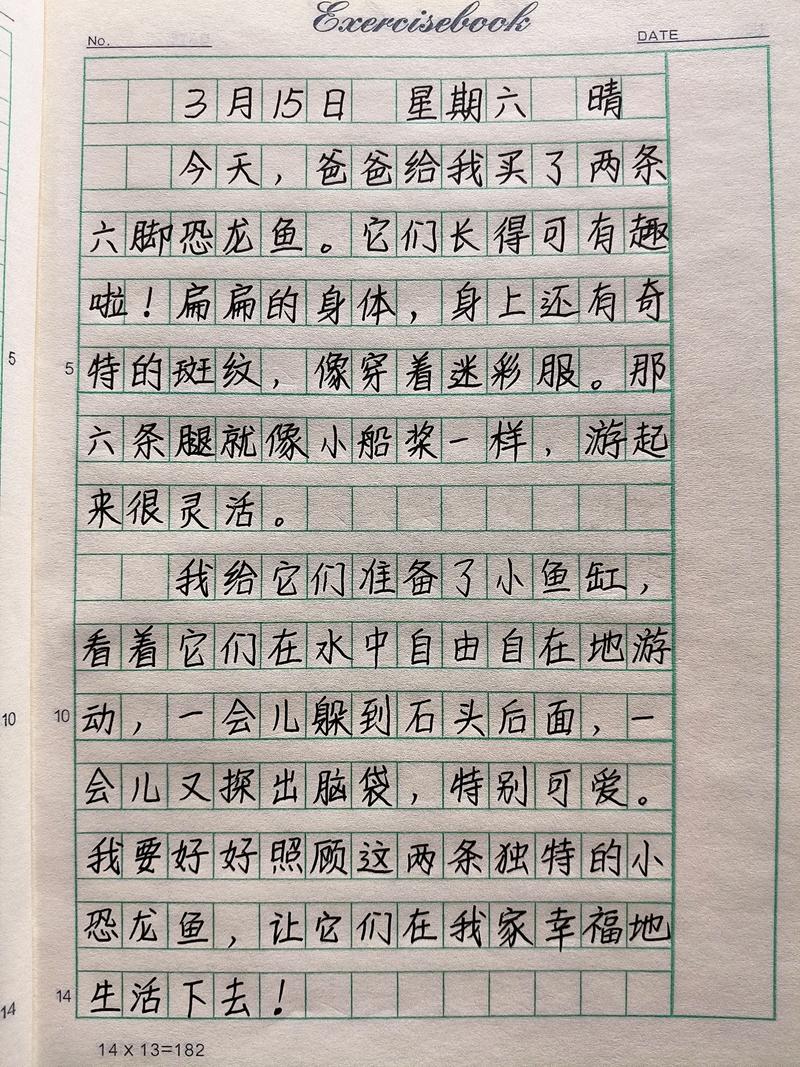 日记(三) 第1张 日记(三) 第1张