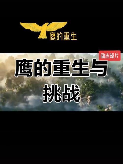 感悟《鹰的重生》蜕变,获得新生 第1张 感悟《鹰的重生》蜕变,获得新生 第1张