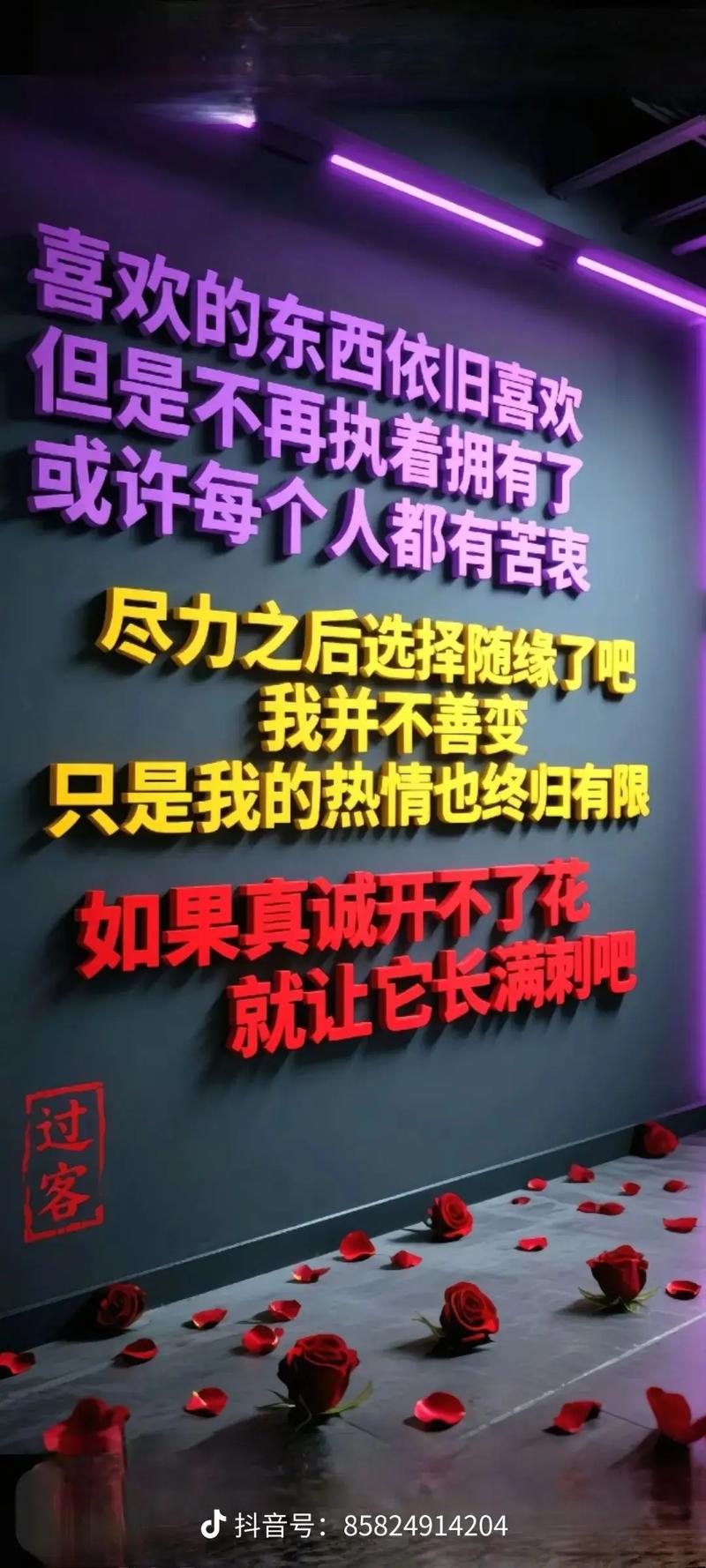 付出,就不要后悔;失去,也不要遗憾 第1张 付出,就不要后悔;失去,也不要遗憾 第1张
