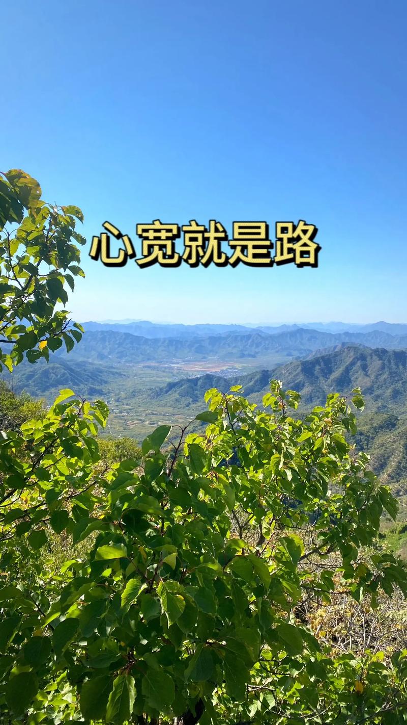 有宽就有路,有容就有度 第1张 有宽就有路,有容就有度 第1张
