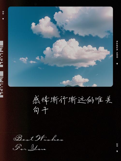 若即若离的爱情，渐行渐远的生活  第1张