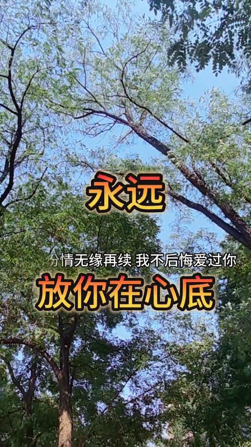 爱在心底流淌 第1张 爱在心底流淌 第1张